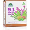 9in1 Form Tea (60 Tea Bags) - 1