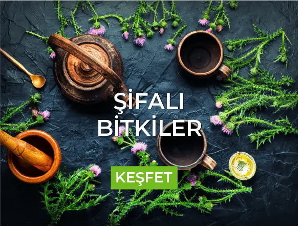 ŞİFALI BİTKİLER