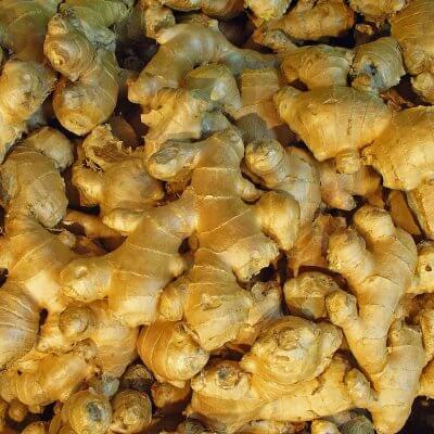 Ginger