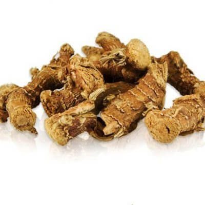 Galangal