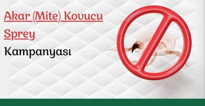  Akar (Mite) Kovucu Sprey 