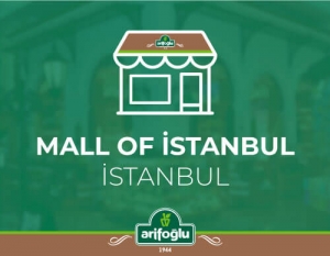 Mall Of İstanbul AVM