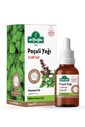 Paçuli Yağı Saf 10ml Patchouli Essential Oil - 1