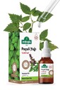 Paçuli Yağı Saf 10ml Patchouli Essential Oil - 2